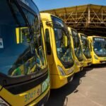 Line of yellow buses parked under a covered structure, each marked with "SUSTENTAVEL" and "LONDRINA," with a fare sign showing "4.80" on the window.