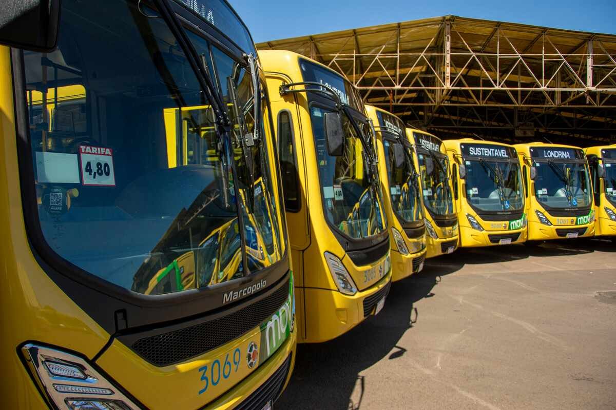 Line of yellow buses parked under a covered structure, each marked with "SUSTENTAVEL" and "LONDRINA," with a fare sign showing "4.80" on the window.